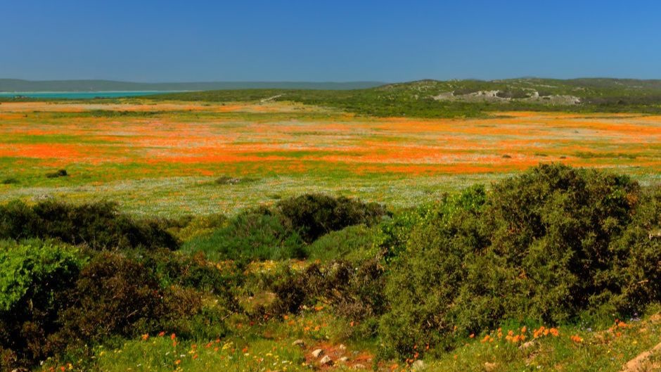 Image showing Gonana Houses in Paternoster | Paternoster accomodation | self-catering