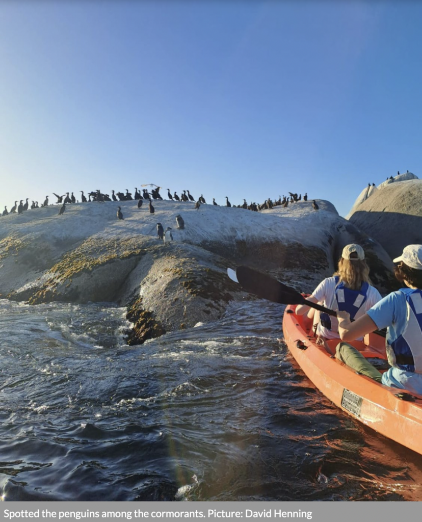 Image showing kayaking in Paternoster